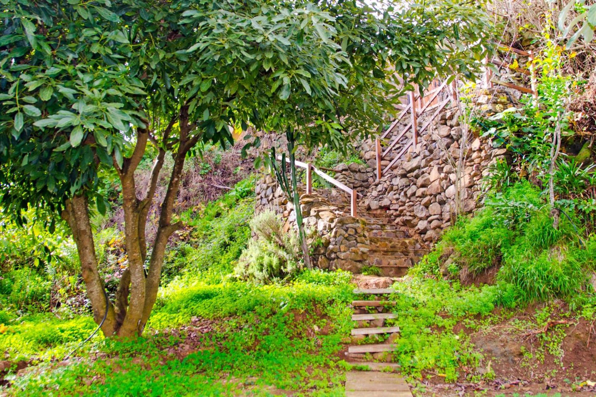 Villa Zenda De Fontanales Moya  Esterno foto